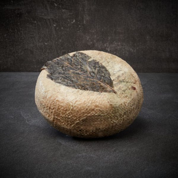 Pecorino di Pienza Foglie