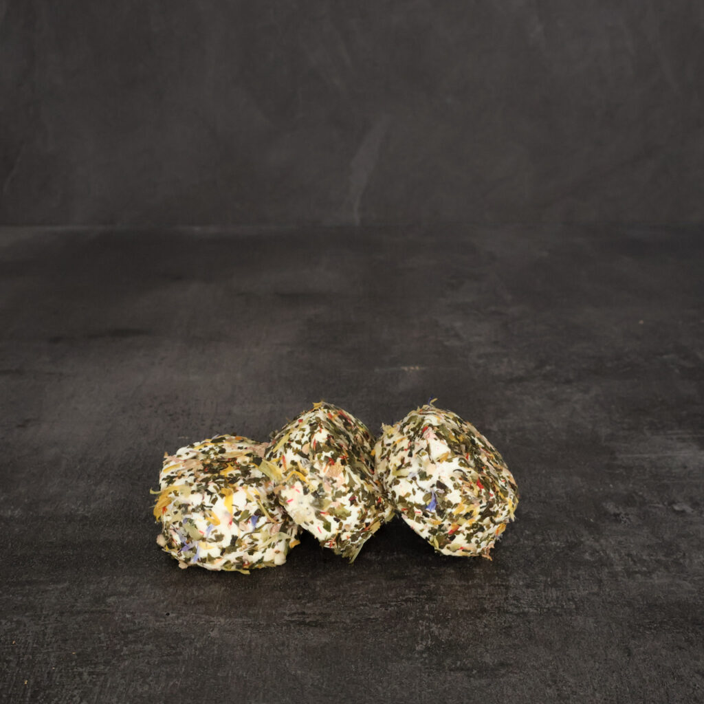 Apolline aux Fleurs La Ferme Black River Game Farm